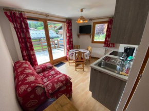 Appartement 2 pièces près des pistes avec terrasse, parking et coin montagne - FR-1-692-89